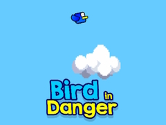Mchezo Bird in Danger