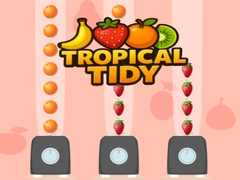 Mchezo Tropical Tidy