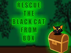 Mchezo Rescue the Black Cat from Box
