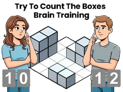 Mchezo Try To Count The Boxes Brain Training