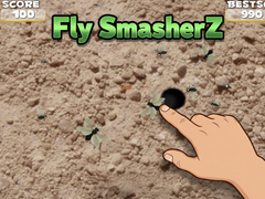 Mchezo Fly SmasherZ