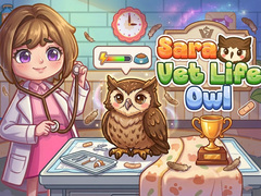 Mchezo Sara Vet Life Ep14: Owl