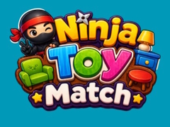 Mchezo Ninja Toy Match
