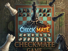 Mchezo Checkmate Game