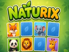 Mchezo Naturix