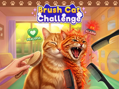 Mchezo Brush Cat Challenge 