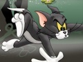 Mchezo Tom And Jerry Chase In Marsh
