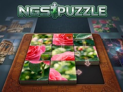 Mchezo NGS Puzzle