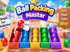 Mchezo Packing Master Puzzle