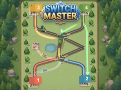Mchezo Switch Master