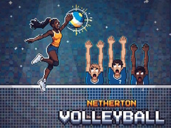 Mchezo Netherton Volleyball
