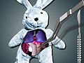 Mchezo Save The Bunny