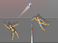 Mchezo Ragdoll Volleyball
