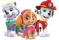 PAW Patrol michezo 