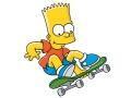 michezo skateboard 