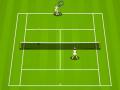 Tennis michezo 