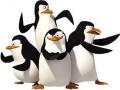 Penguins wa Madagascar michezo 