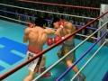 Boxing michezo 