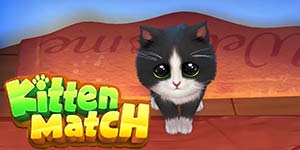 Mechi ya Kitten 