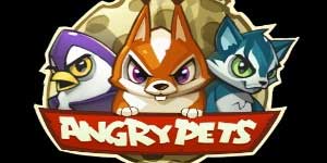 Hasira Pets 