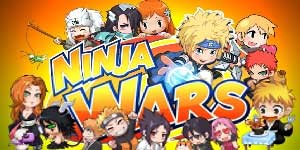 Ninja vita 