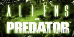 Mgeni vs Predator 