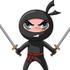 Ninja michezo 